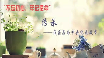 平原紀檢 執(zhí)紀問責非文藝創(chuàng)作，求真務(wù)實方顯擔當